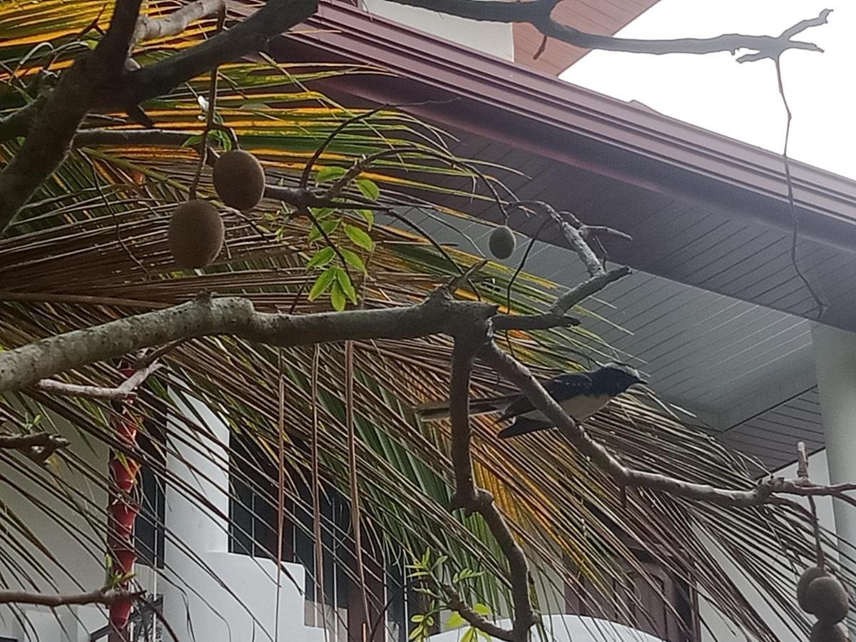 Silence Paradise Tangalle Exterior foto